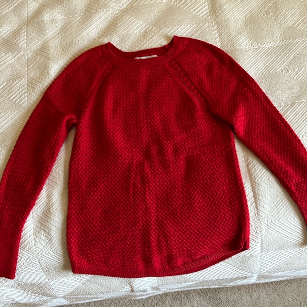 Red sweater from Ann Taylor Loft size Small